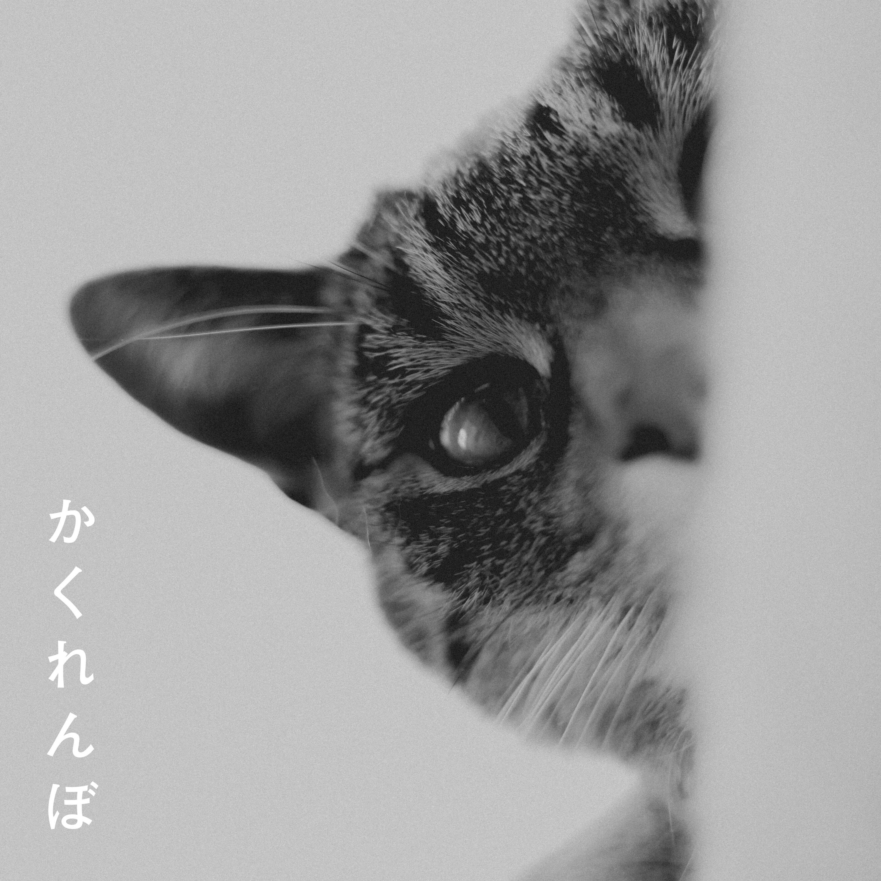 かくれんぼ